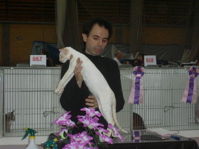 Mika